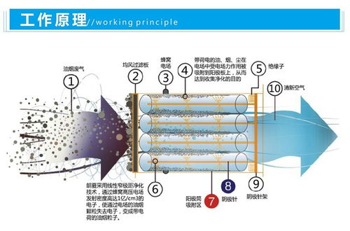 厨房油烟净化器8000风量低空油烟净化器轻松过环保检查langxia朗夏